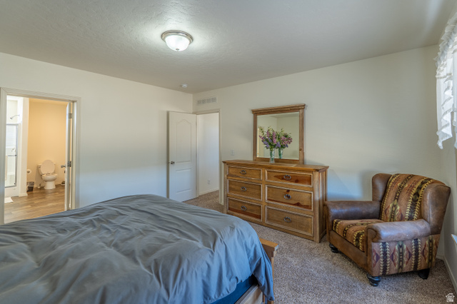 700 East Peter Springs Road Monticello, UT 84535 - Photo 19 of 57 Carpeted bedroom with neutral wall tones and a ceiling-mounted light fixture