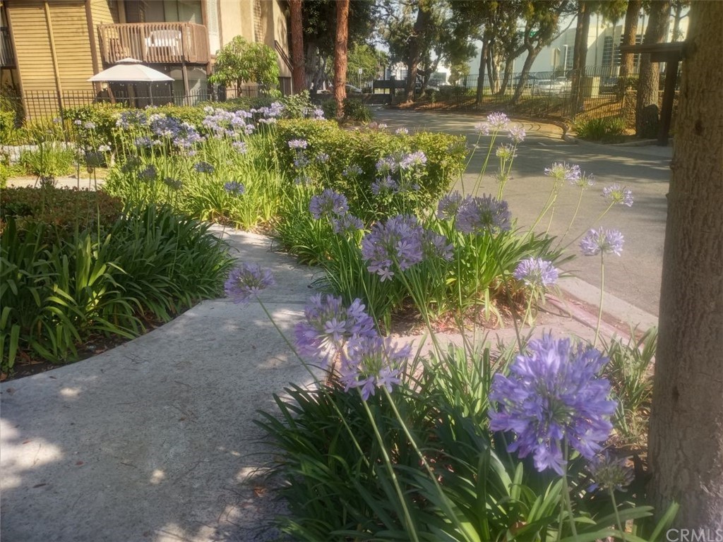 4140 Workman Road, Unit 18 Whittier, CA 90601 - Photo 34 of 35