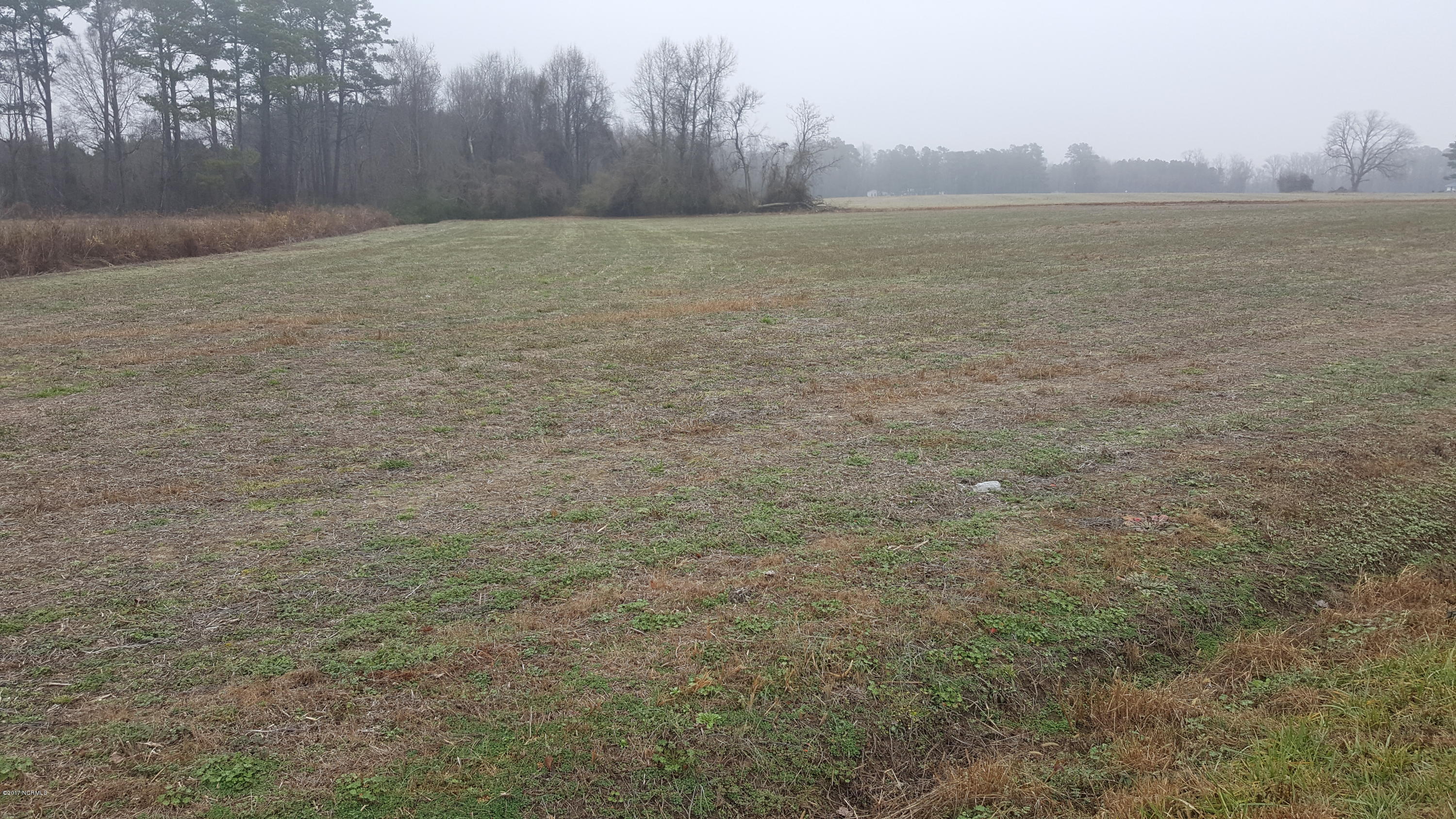 0 Elijah Sykes Road Kinston, NC 28501 - Photo 1 of 2 20170121_100239