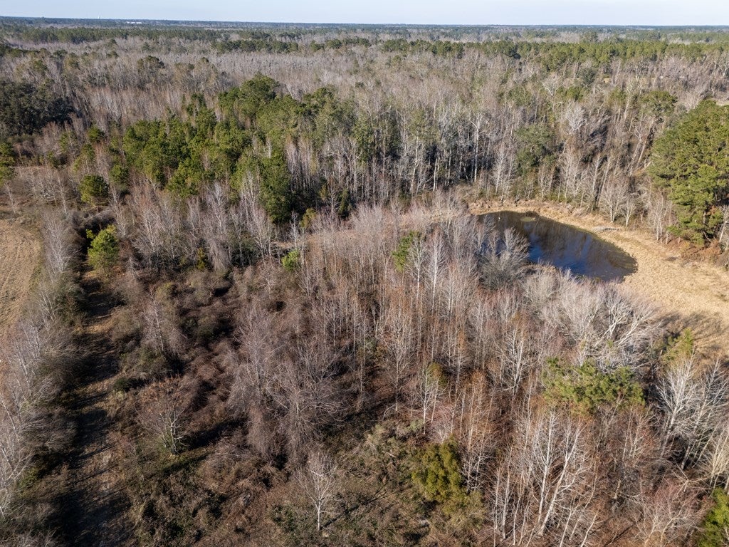 9 Bethany Road Hahira, GA 31632 - Photo 19 of 30 Gallery Image 19