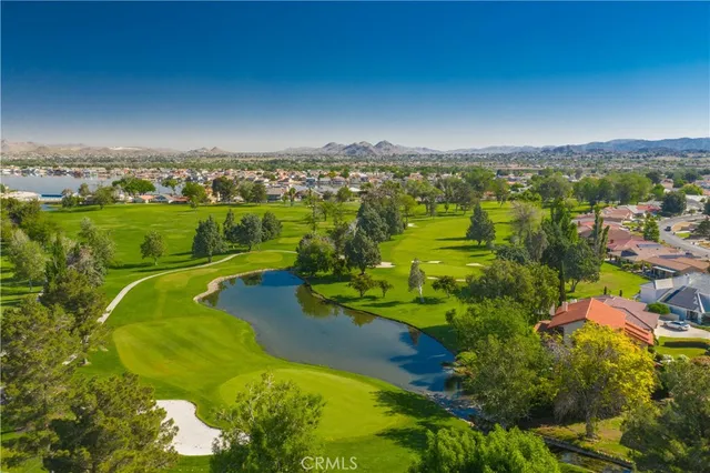 an aerial view of a flower garden