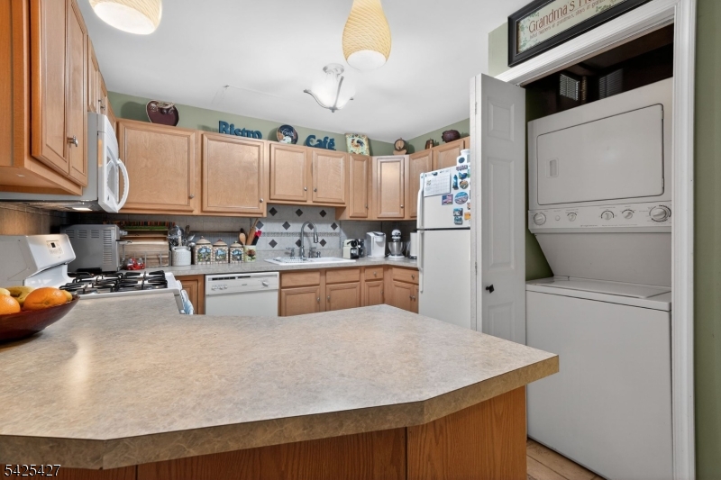 167 Falcon Ridge Way South Hamburg, NJ 07419 - Photo 9 of 17