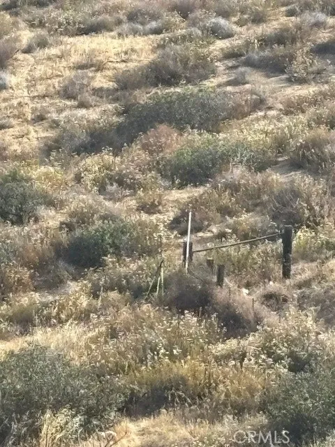 17 Ginter Hemet, CA 92544 - Photo 5 of 16