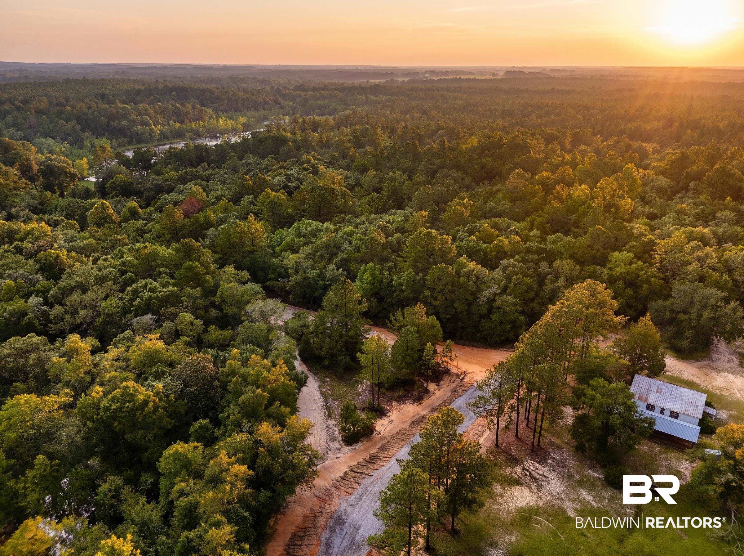 0 Doyle Morgan Road Samson, AL 36477 - Photo 19 of 22