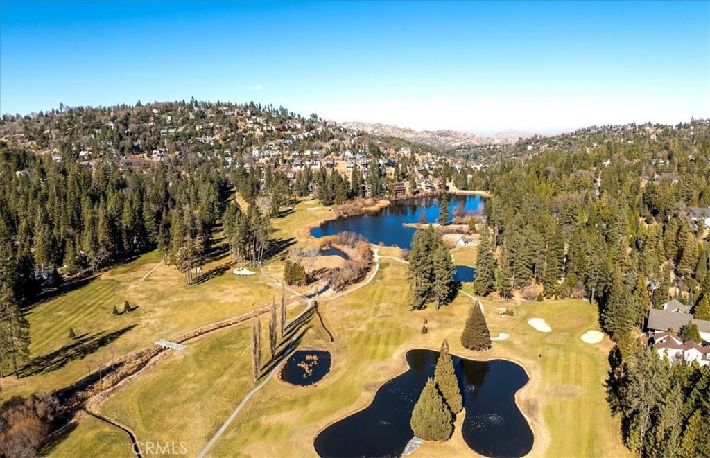 27312 Little Bear Road Lake Arrowhead, CA 92352 - Photo 44 of 47