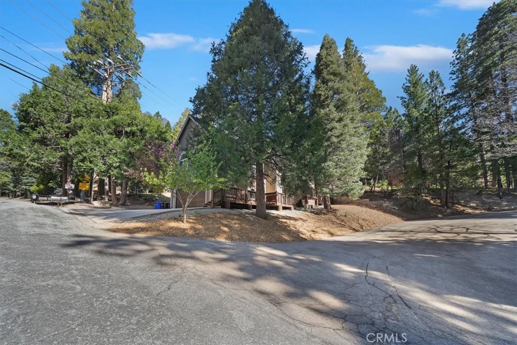 27312 Little Bear Road Lake Arrowhead, CA 92352 - Photo 5 of 47 a view of dirt yard with a trees