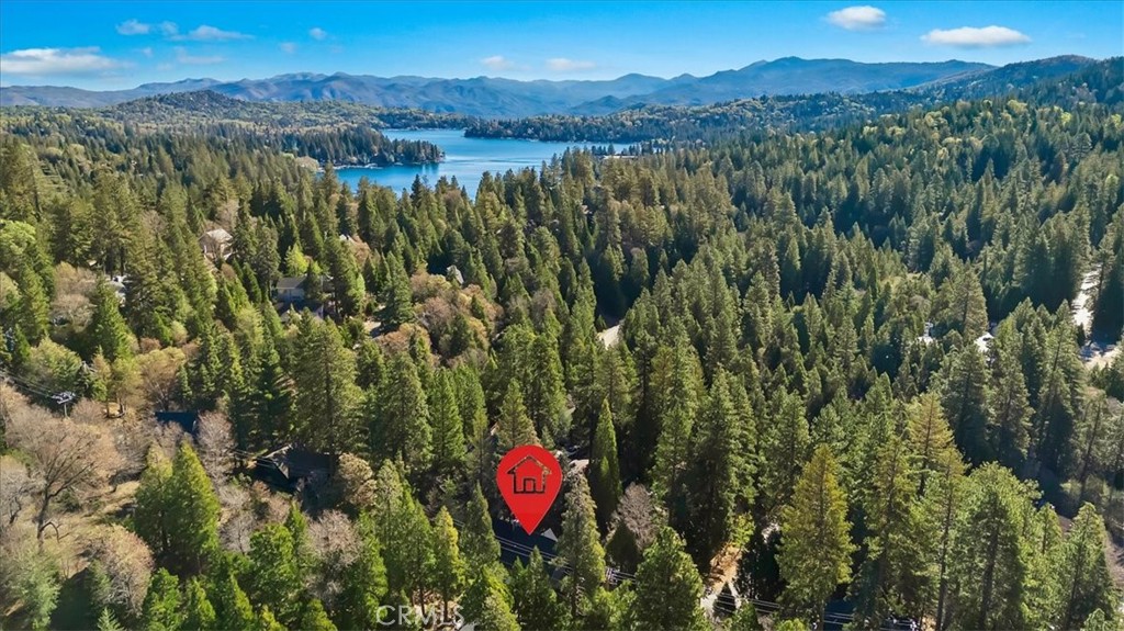 27312 Little Bear Road Lake Arrowhead, CA 92352 - Photo 7 of 47 a view of a forest with a lake