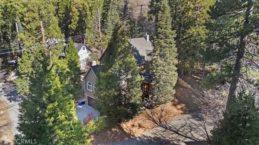 27312 Little Bear Road Lake Arrowhead, CA 92352 - Photo 8 of 47 a picture of tree