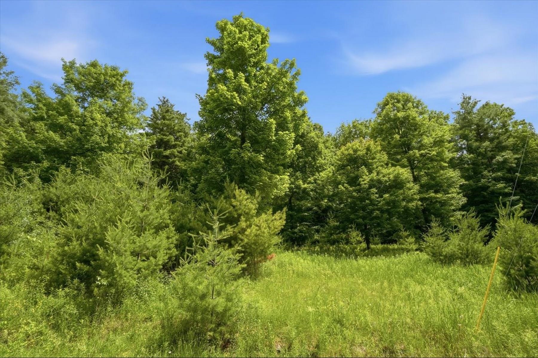 1870 Shacksboro Road, Unit LOT 1 Shoreham, VT 05770 - Photo 8 of 16