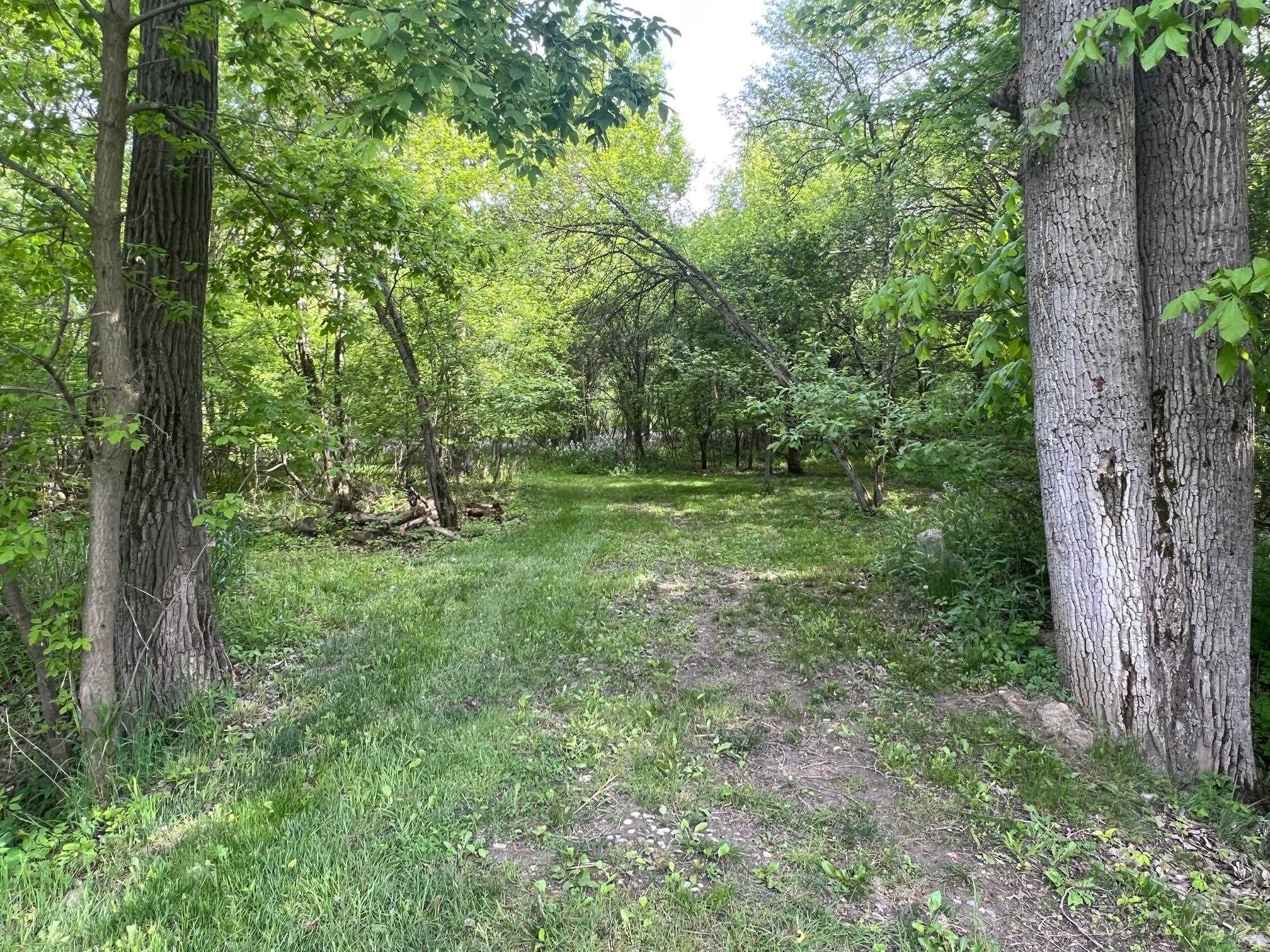 4264 Benjamin Road Perry, MI 48872 - Photo 39 of 46