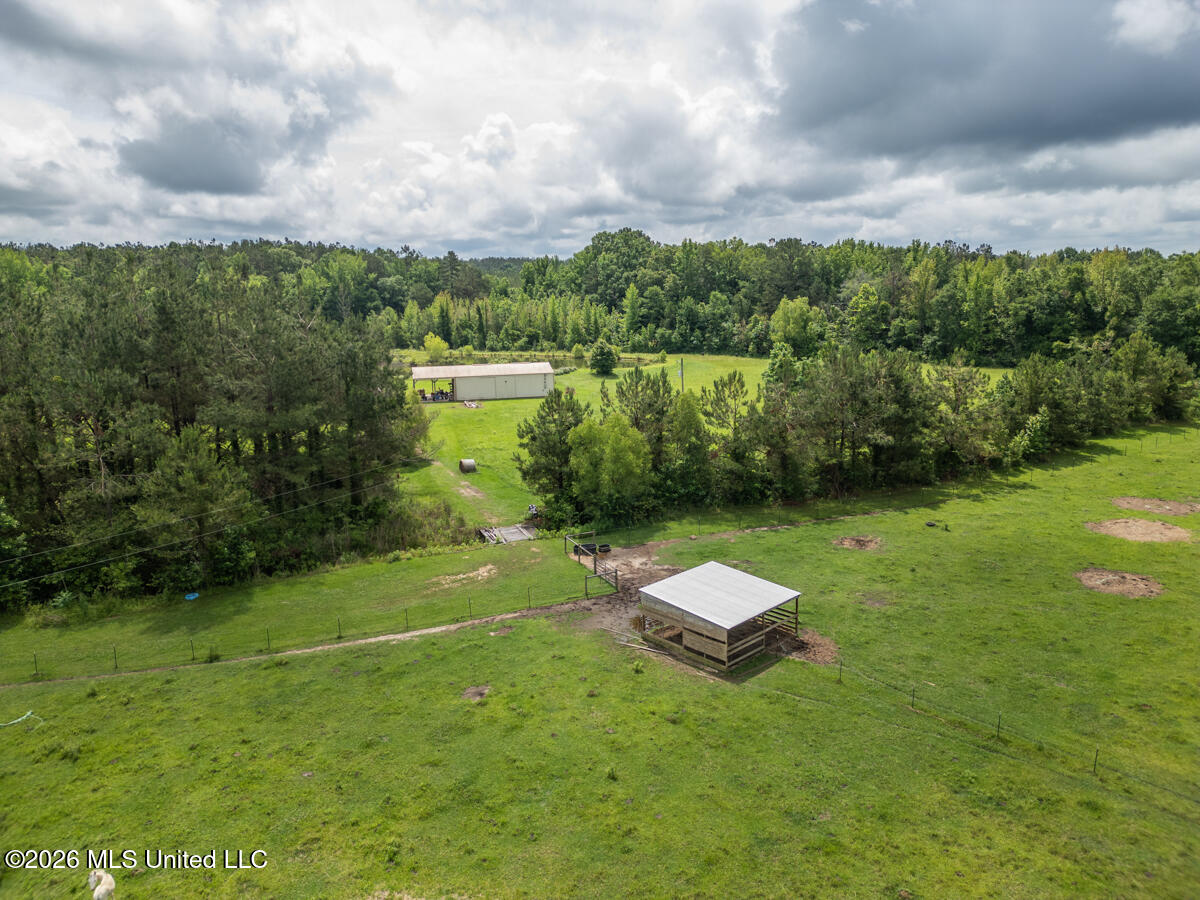 1529 Lower Milligan Springs Road Kilmichael, MS 39747 - Photo 28 of 46 DJI_0008