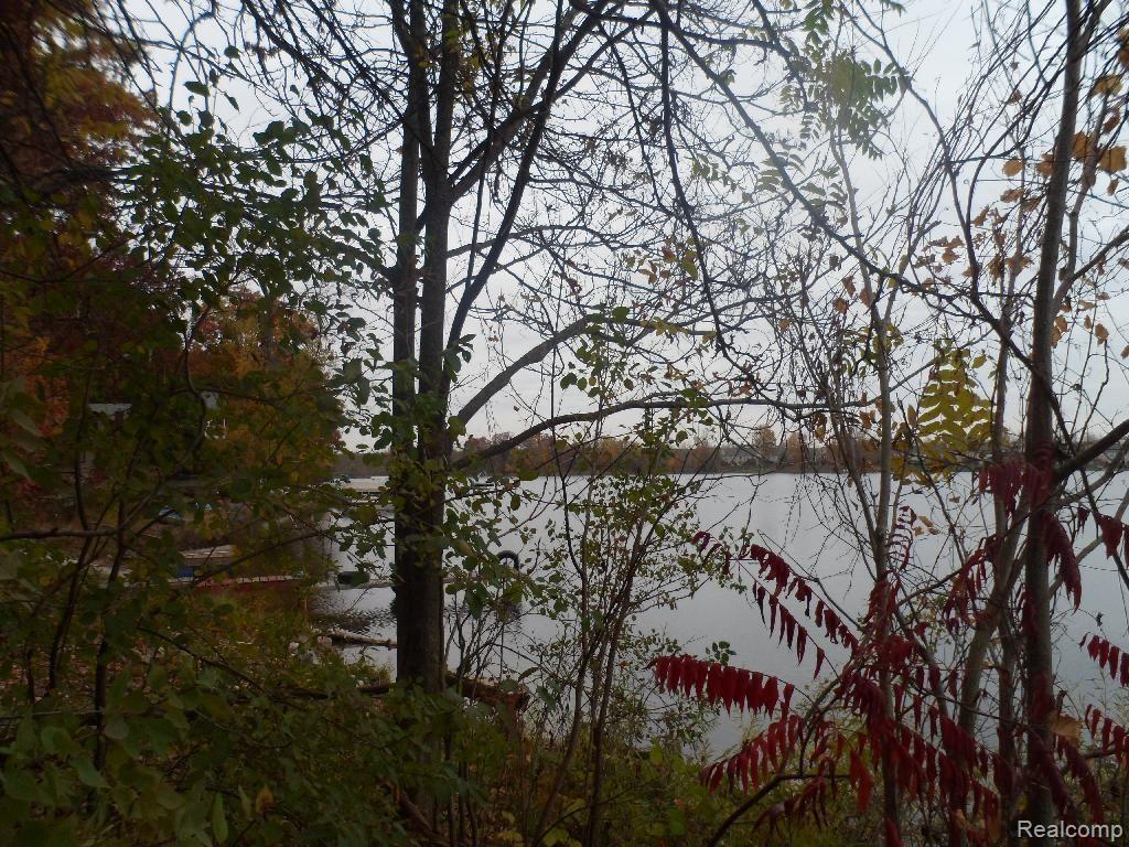 287 Ora Road Oxford, MI 48371 - Photo 16 of 20 Lake View 3.jpg