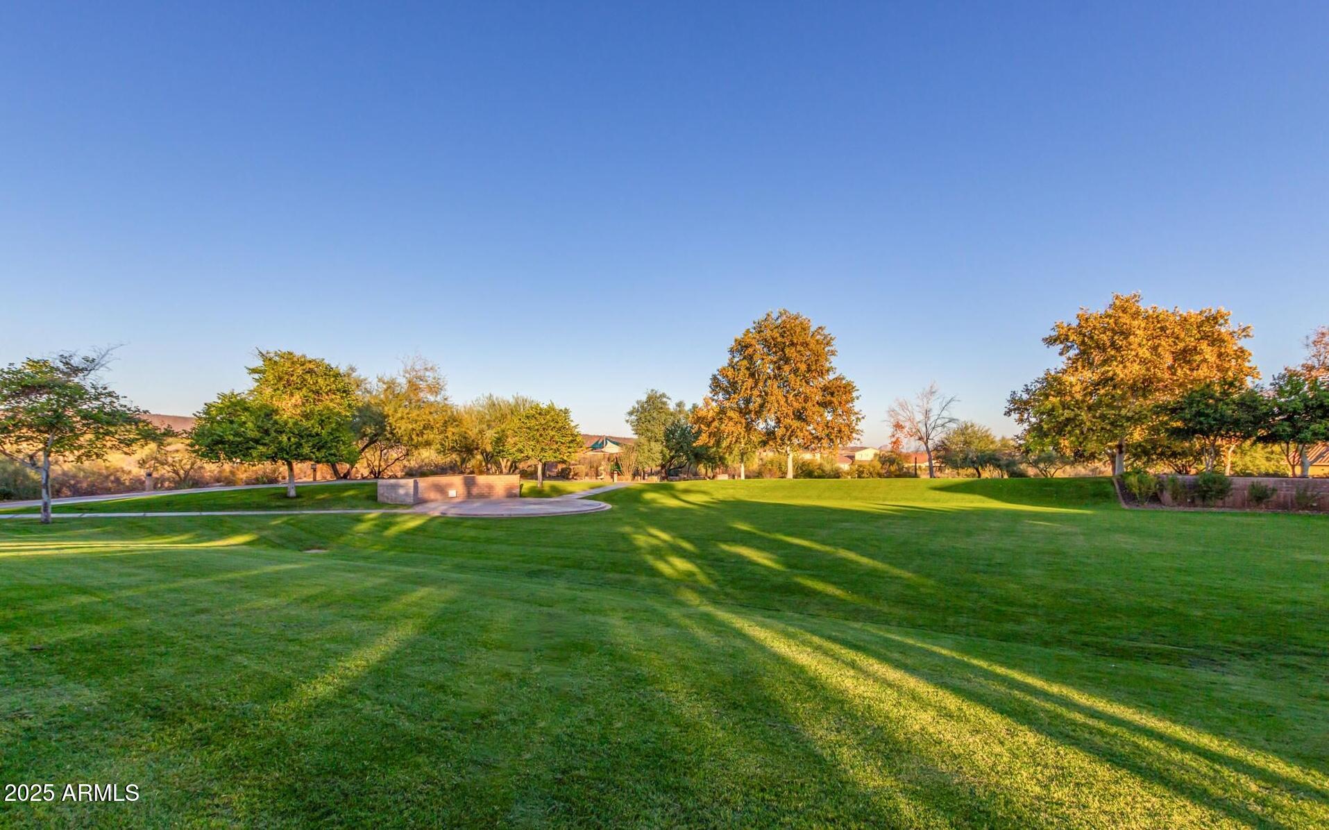 11554 West Lone Tree Trail Peoria, AZ 85383 - Photo 44 of 50 Vistancia grass