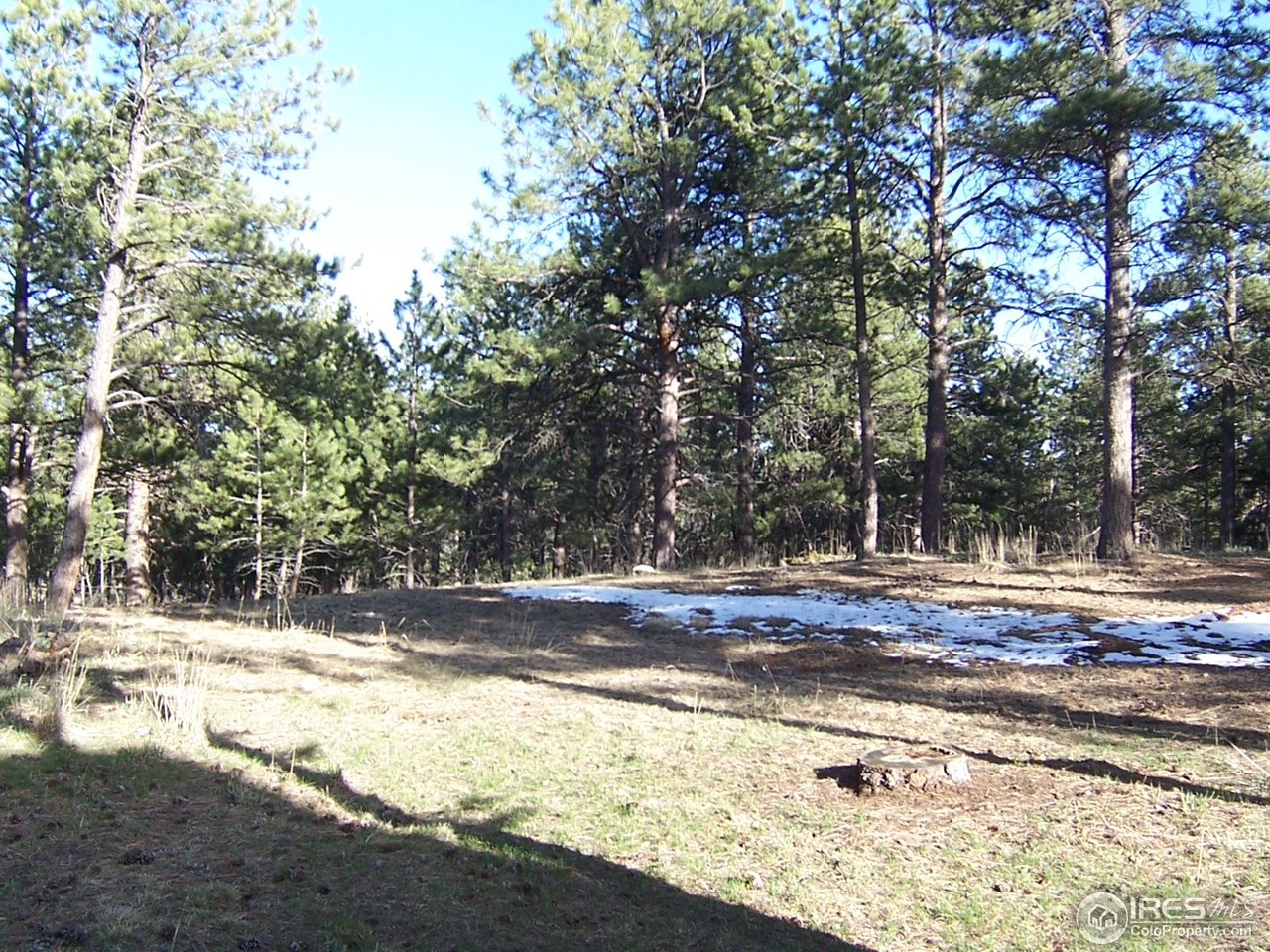 614 Mountain Meadows Road Boulder, CO 80302 - Photo 24 of 24
