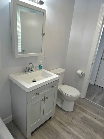 a bathroom with a sink toilet and vanity