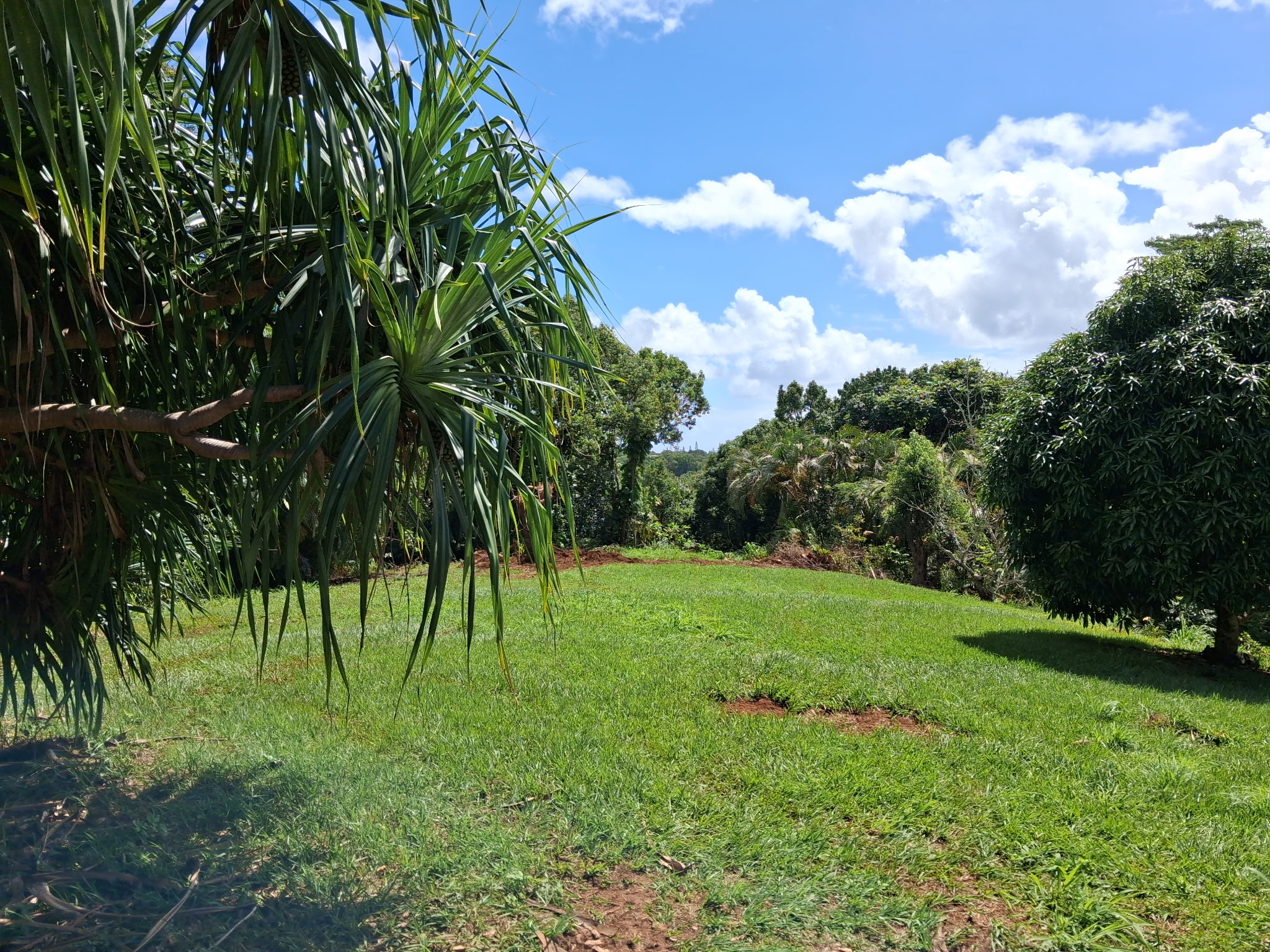 6052-aa Hauiki Road Kapaa, HI 96746 - Photo 1 of 1