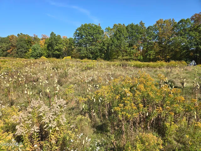 $69,000 | L23 Sunny Hill Acres, Greenville, NY 12083