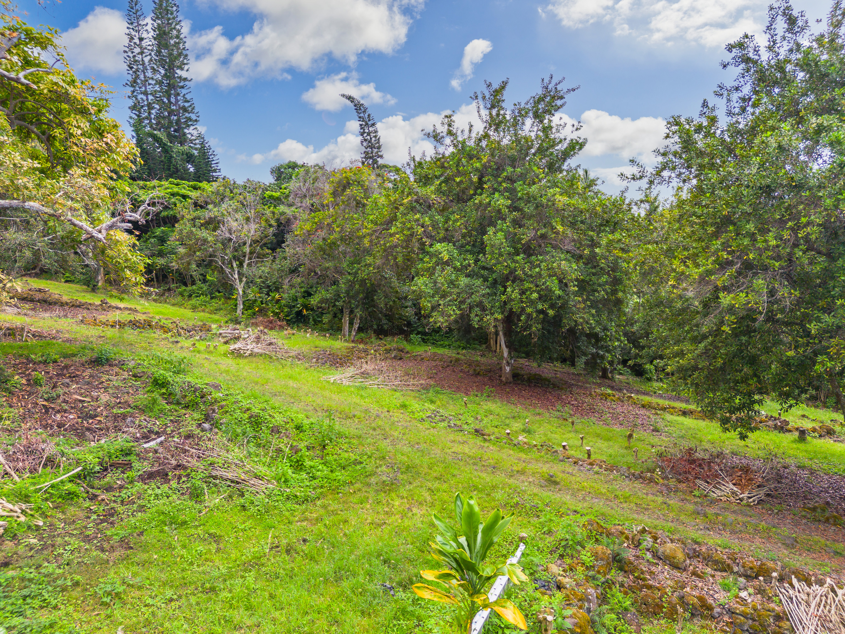 84-5084 Hawaiʻi Belt Road Captain Cook, HI 96704 - Photo 25 of 29