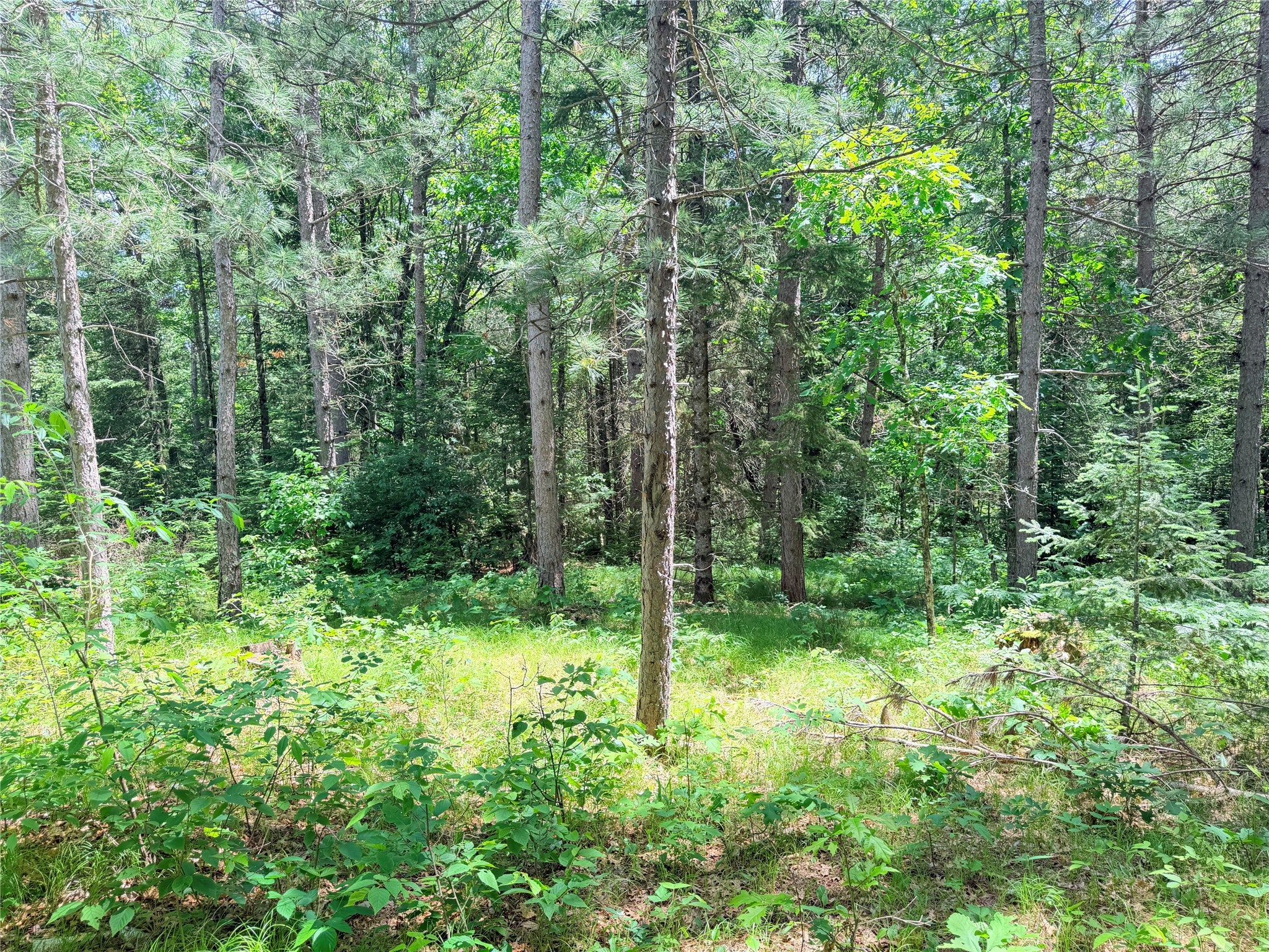 Lot 3 Boat Landing Road Ladysmith, WI 54848 - Photo 22 of 32 Gallery Image 22