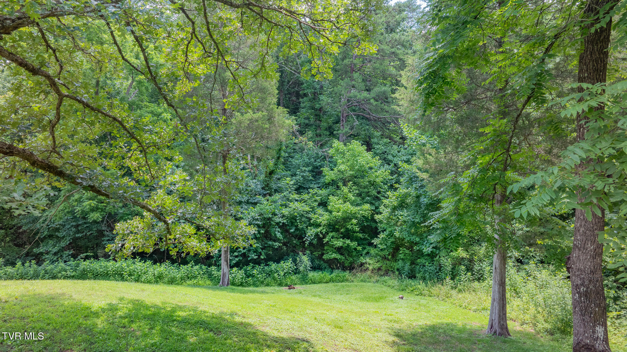 4035 Ridge Road Kingsport, TN 37660 - Photo 32 of 35 dji_fly_20260707_133906_0595_17834460838