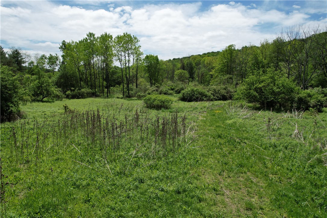 Mallory Road Chemung, NY 14825 - Photo 11 of 50