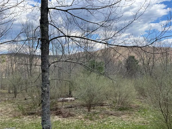 $180,000 | Mallory Road, Chemung, NY 14825