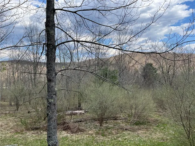 $209,900 | Mallory Road, Chemung, NY 14825