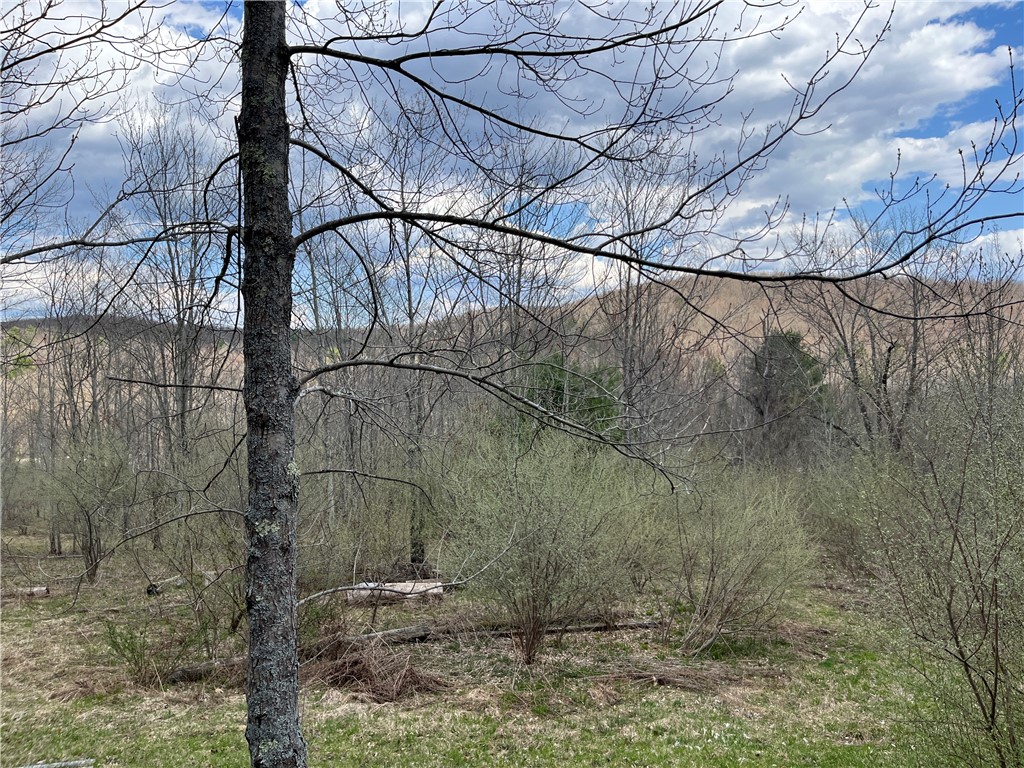 Mallory Road Chemung, NY 14825 - Photo 14 of 50