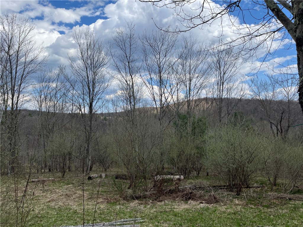 Mallory Road Chemung, NY 14825 - Photo 15 of 50