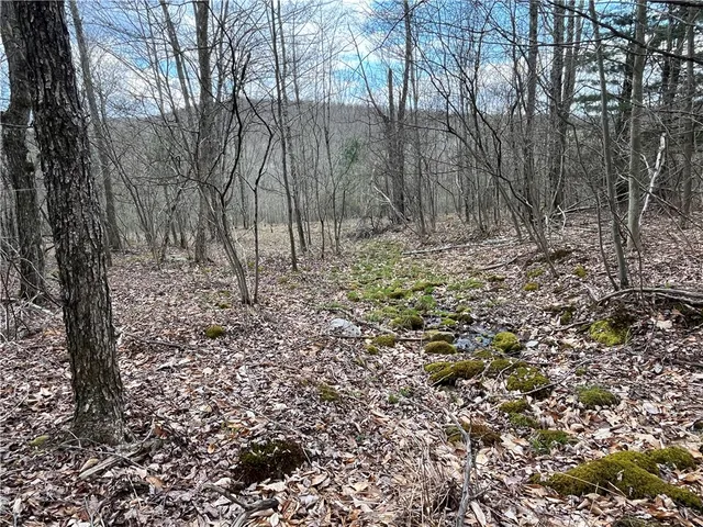 $209,900 | Mallory Road, Chemung, NY 14825