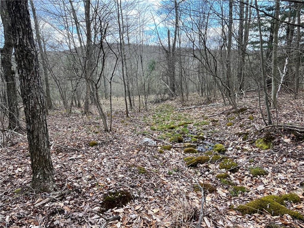 Mallory Road Chemung, NY 14825 - Photo 16 of 50