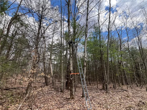 $180,000 | Mallory Road, Chemung, NY 14825