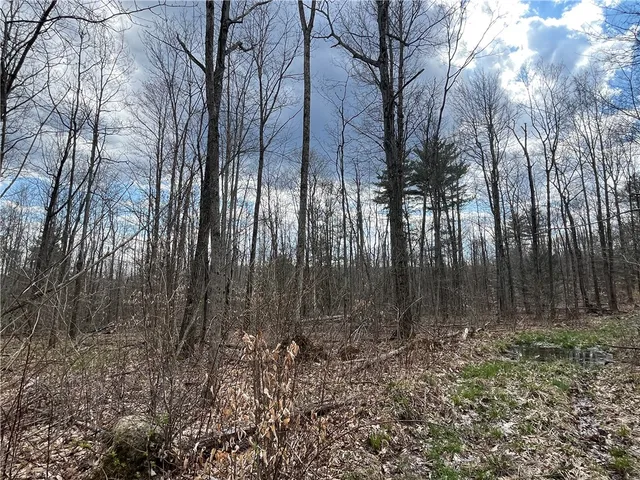 $209,900 | Mallory Road, Chemung, NY 14825