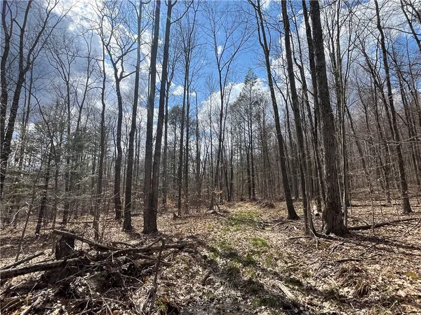 $180,000 | Mallory Road, Chemung, NY 14825