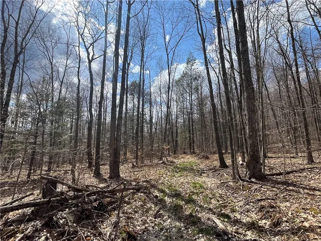 $209,900 | Mallory Road, Chemung, NY 14825