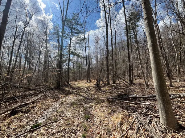 $180,000 | Mallory Road, Chemung, NY 14825