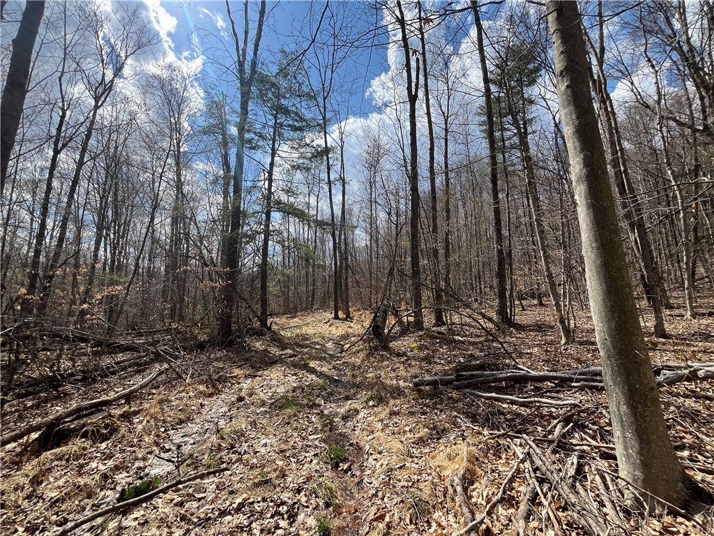 Mallory Road Chemung, NY 14825 - Photo 20 of 50