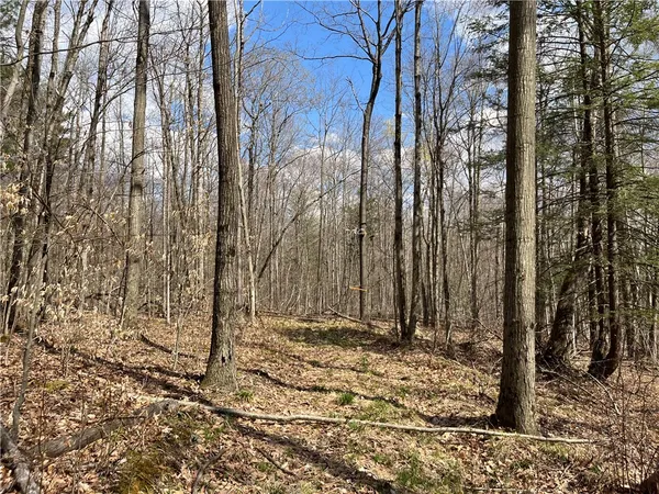 $180,000 | Mallory Road, Chemung, NY 14825