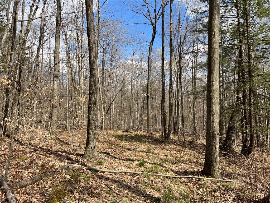 Mallory Road Chemung, NY 14825 - Photo 21 of 50