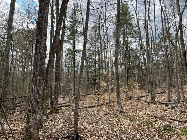 $180,000 | Mallory Road, Chemung, NY 14825