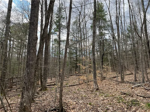 $209,900 | Mallory Road, Chemung, NY 14825