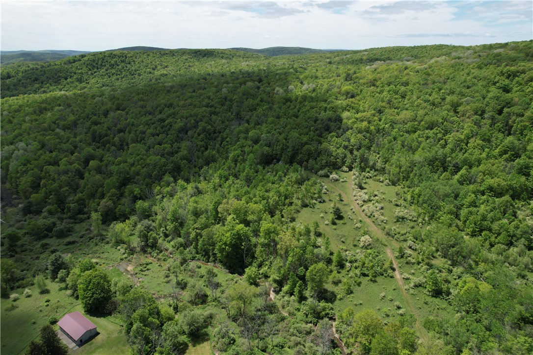 Mallory Road Chemung, NY 14825 - Photo 23 of 50