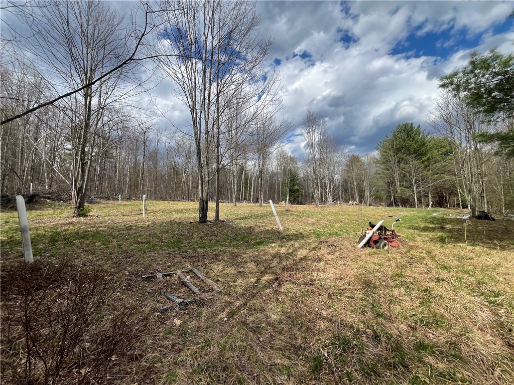 Mallory Road Chemung, NY 14825 - Photo 24 of 50