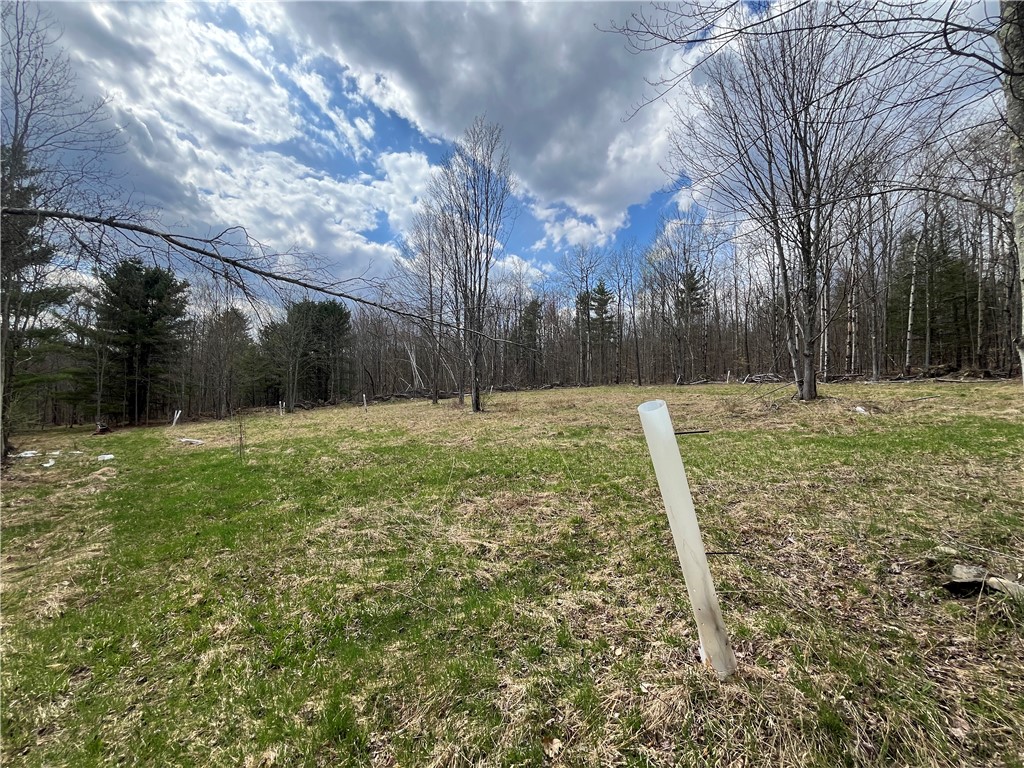 Mallory Road Chemung, NY 14825 - Photo 25 of 50