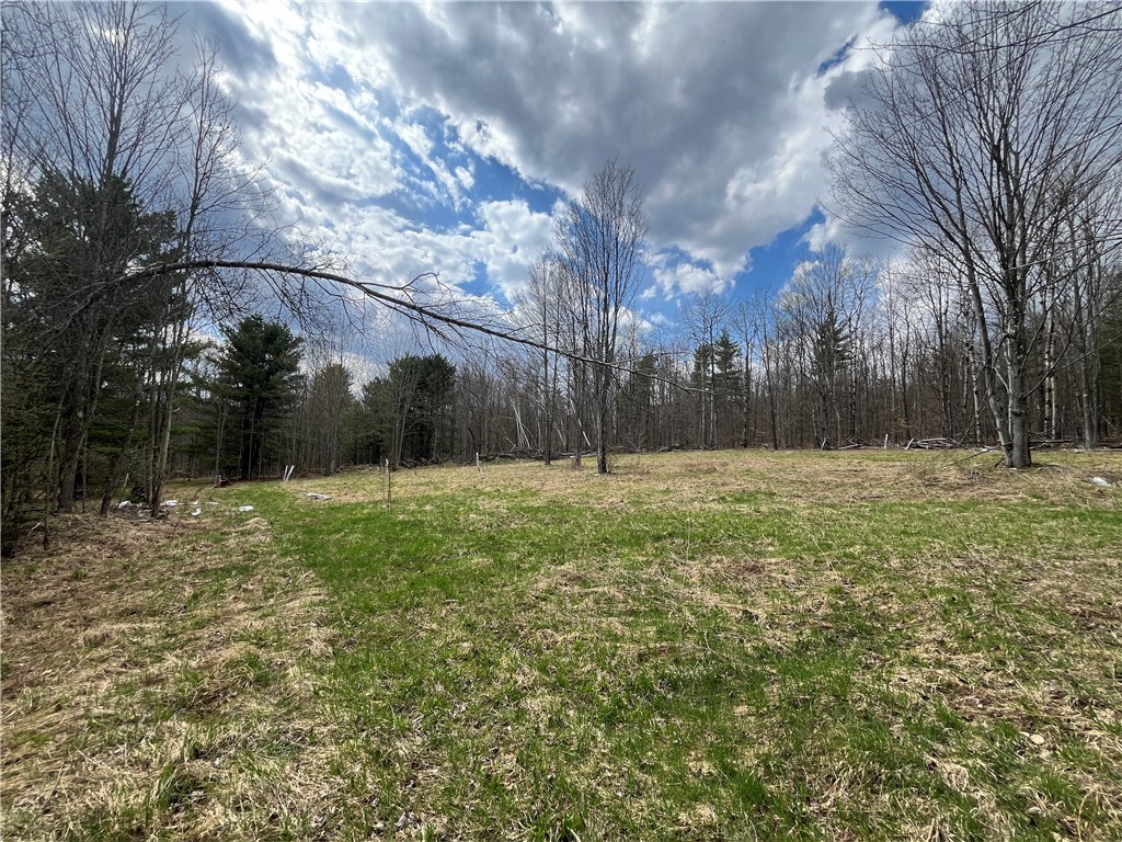 Mallory Road Chemung, NY 14825 - Photo 26 of 50