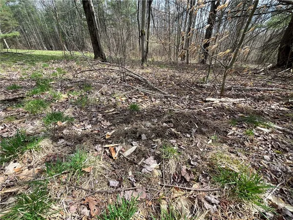 $180,000 | Mallory Road, Chemung, NY 14825