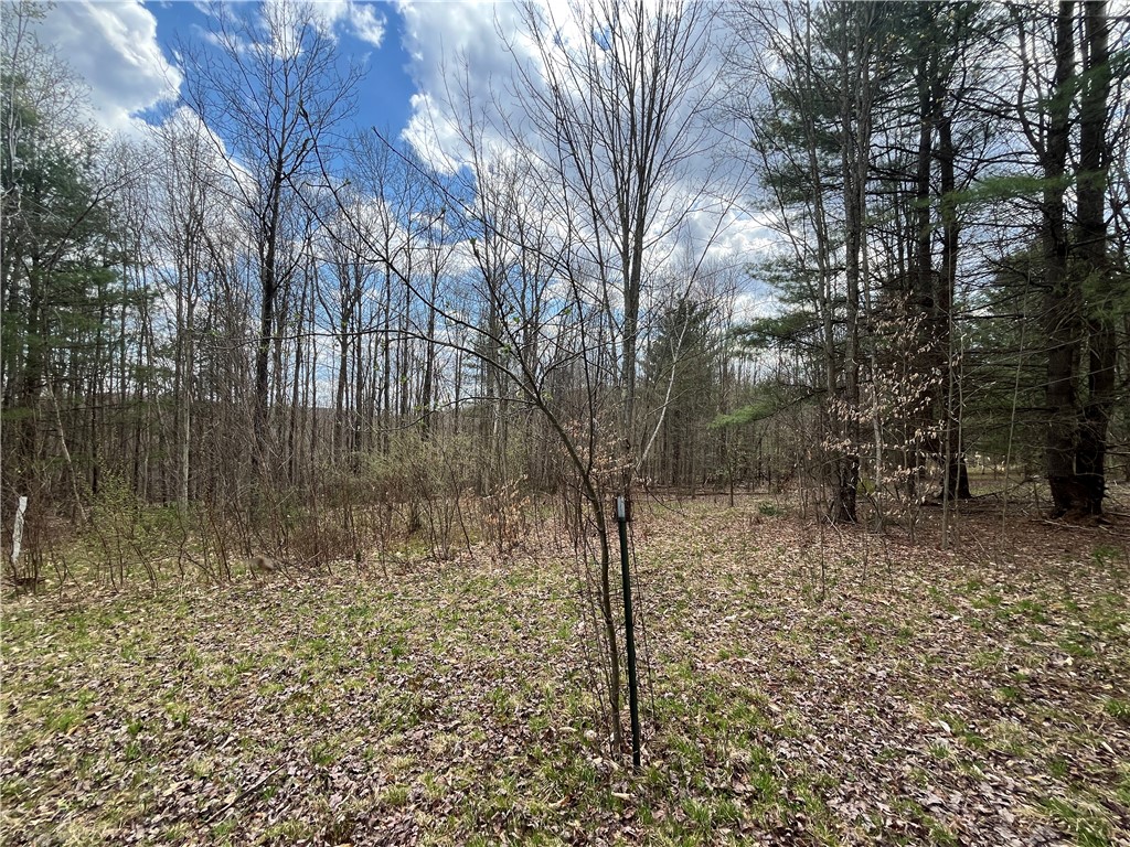 Mallory Road Chemung, NY 14825 - Photo 28 of 50