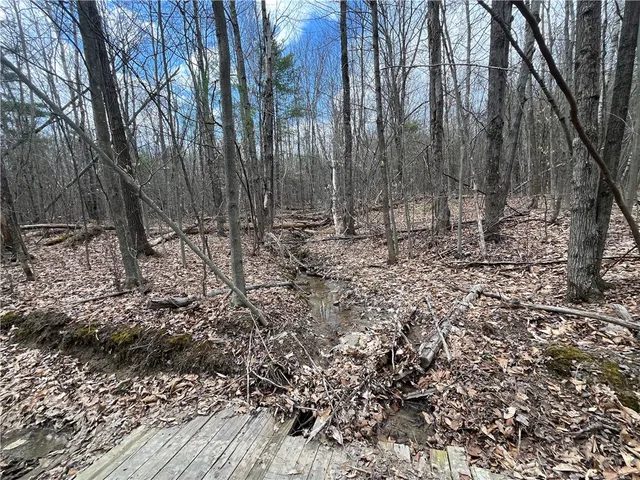 $209,900 | Mallory Road, Chemung, NY 14825