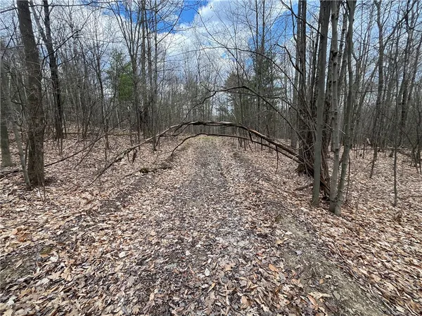 $180,000 | Mallory Road, Chemung, NY 14825