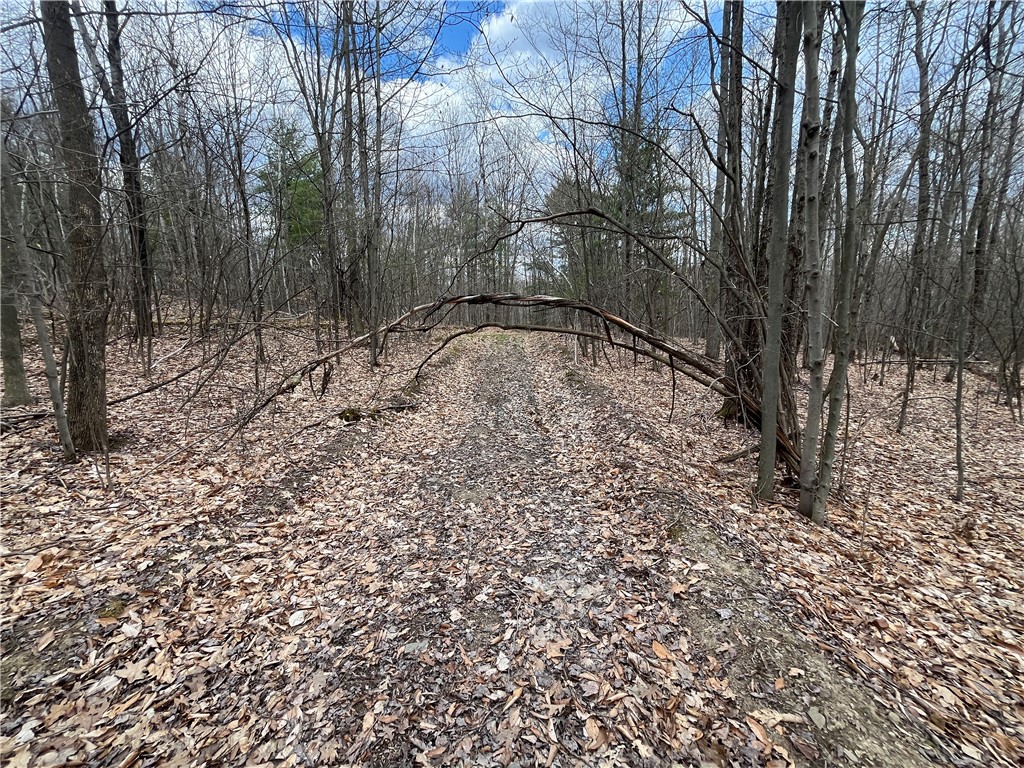 Mallory Road Chemung, NY 14825 - Photo 30 of 50